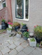 NIEUW! Woonruimte te huur Nijensteinheerd, Groningen, Huizen en Kamers