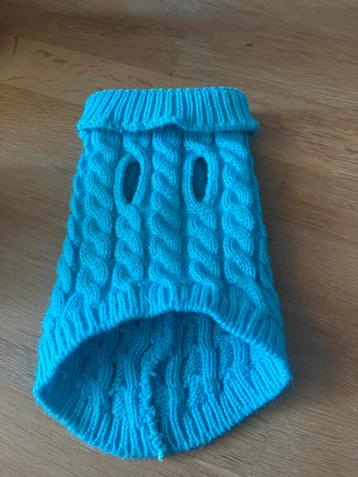 Mooi truitje voor kleine hond of puppy  beschikbaar voor biedingen