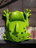 kikker voor o,a, in zwembad, Ophalen of Verzenden