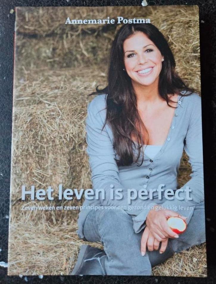 Annemarie Postma
Het leven is perfect, Boeken, Essays, Columns en Interviews, Zo goed als nieuw, Ophalen of Verzenden