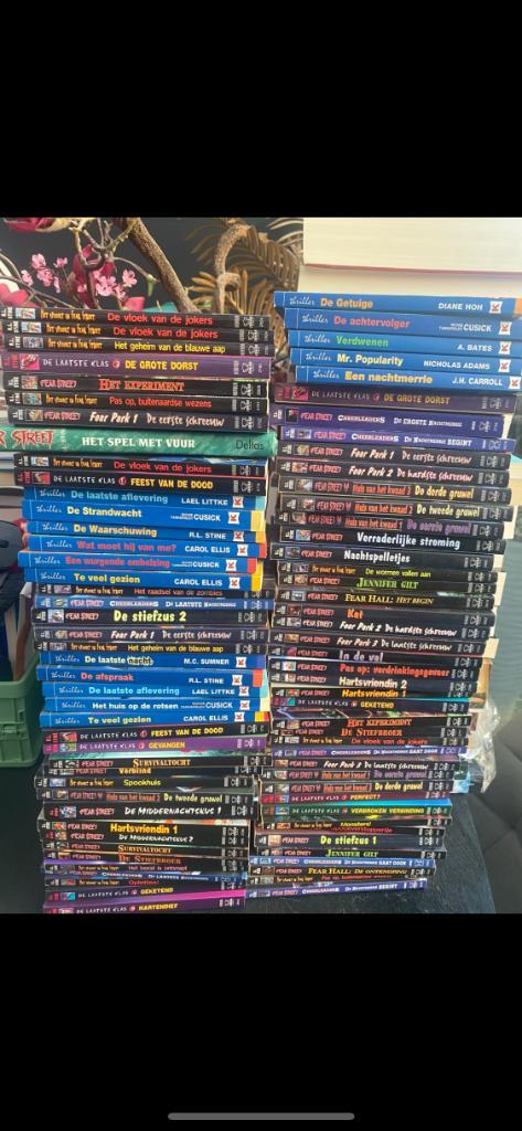 Fear street boeken, Boeken, Kinderboeken | Jeugd | 13 jaar en ouder, Nieuw, Non-fictie, Verzenden