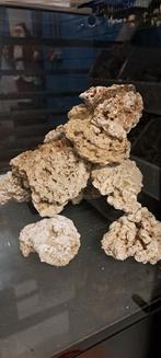 Rif steen voor het zeeaquarium, Dieren en Toebehoren, Ophalen of Verzenden, Plant(en), Steen of Hout