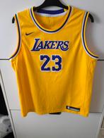 LeBron James jersey, Ophalen of Verzenden, Zo goed als nieuw, Kleding