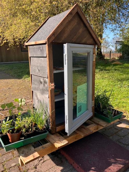 Kruiden en peperplantjes, bloemzaden en pruimpjes proeven!, Tuin en Terras, Planten | Tuinplanten, Eenjarig, Kruiden, Volle zon