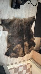 Wild zwijn huid vacht, Huis en Inrichting, Ophalen of Verzenden, Zo goed als nieuw, Rechthoekig, 200 cm of meer