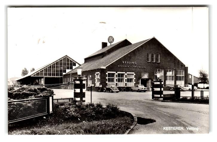 Kesteren, Veiling, Verzamelen, Ansichtkaarten | Nederland, Gelopen, Gelderland, 1980 tot heden, Verzenden