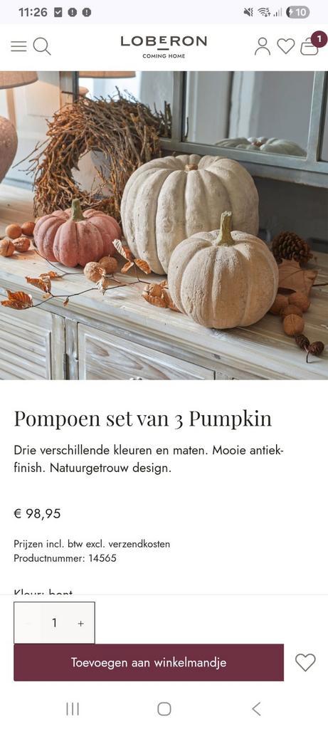 Loberon Pompoenen, Huis en Inrichting, Overige Huis en Inrichting, Zo goed als nieuw, Ophalen