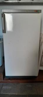 Vrieskast - Betrouwbaar en ruim!, Witgoed en Apparatuur, Koelkasten en IJskasten, 150 tot 200 liter, Gebruikt, Met aparte vriezer
