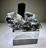 Esthetische toermalijn (Draviet Schröl) op mica. Brazilië, Ophalen of Verzenden, Mineraal