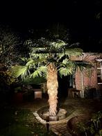 Professionele tuinspots, Cortenstaal buitenlamp, Overige materialen, Minder dan 50 watt, Waterbestendig, Nieuw