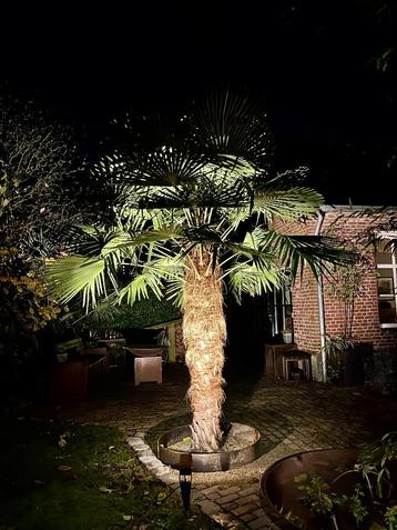 Professionele tuinspots, Cortenstaal buitenlamp beschikbaar voor biedingen