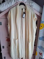 chrissize mouwloos vest maat 2 de laatste, Kleding | Dames, Ophalen of Verzenden, Nieuw, Trui of Vest