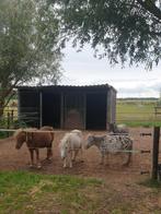 Wil ook graag dat je paardje op nr 1 staat nu nog plek!!!!, Stalling