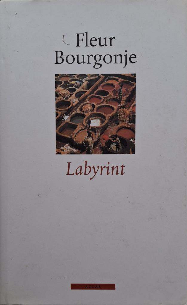 Fleur Bourgonje - Labyrint, Boeken, Romans, Zo goed als nieuw, Nederland, Ophalen of Verzenden