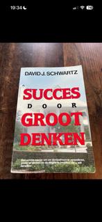 Succes door Groot Denken - David J. Schwartz, Ophalen, Gelezen