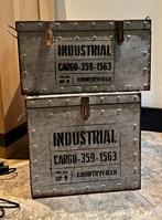 Industriële Opbergkisten - Set van 2, Ophalen, 50 tot 100 cm, Zo goed als nieuw, Metaal
