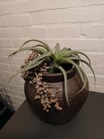 Bloempot met decoratie, Huis en Inrichting, Woonaccessoires | Overige, Ophalen of Verzenden, Zo goed als nieuw