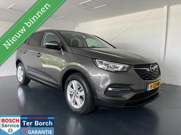 Opel Grandland X 1.2 Turbo Edition,LED,PDC,Navi,All-seasen beschikbaar voor biedingen