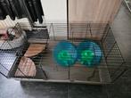 Konijnen-, Cavia- of Knaagdierenkooi 100x53x42,5cm met extra, Dieren en Toebehoren, Kooi, Rat, Zo goed als nieuw, 75 tot 110 cm