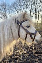 Opzoek naar bruin / cognac mentuig , shetlander!, Dieren en Toebehoren, Paarden en Pony's | Hoofdstellen en Tuigage, Ophalen, Overige soorten