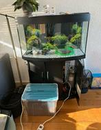 Juwel vision 180l, Dieren en Toebehoren, Ophalen, Zo goed als nieuw, Leeg aquarium