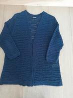 Heel mooi donker blauw Gerry Weber vest mt. 38 (z.g.a.n.), Kleding | Dames, Maat 38/40 (M), Blauw, Ophalen of Verzenden, Zo goed als nieuw