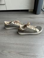 Glitter basket sneakers, Overige kleuren, Ophalen of Verzenden, Gedragen, Sneakers of Gympen