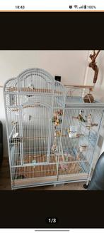 5 agapornis incl kooi., Dieren en Toebehoren, Vogels | Hokken en Kooien, Ophalen, Gebruikt, Metaal, Vogelkooi