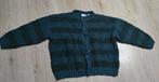 ZARA WOLLEN KIDS TRUI MAAT 110, Ophalen of Verzenden, Zo goed als nieuw, Trui of Vest