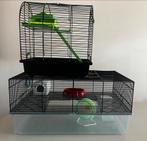 Knaagdierenkooi Ferplast met accessoires + extra reiskooi, Kooi, Minder dan 75 cm, Zo goed als nieuw, Hamster