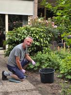 Tuinonderhoud, Diensten en Vakmensen, Tuinmannen en Stratenmakers