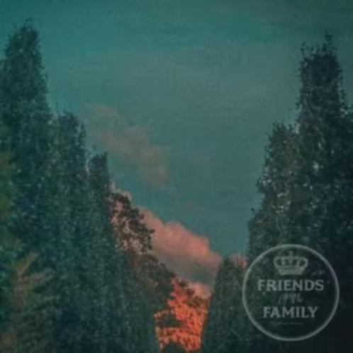Friends Of The Family - Friends Of The Family, Cd's en Dvd's, Cd's | Pop, Zo goed als nieuw, Verzenden