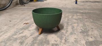 Plantenschaal op standaard – Ø33 cm, groen beschikbaar voor biedingen