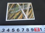 sticker  Panini WWF 89, Verzamelen, Stickers, Ophalen, Zo goed als nieuw, Bedrijf of Vereniging
