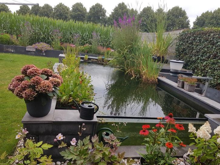 T.K VIJVER, Tuin en Terras, Vijvers, Ophalen