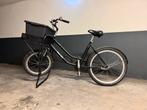 Supersterke hondenfiets bakfiets transportfiets cargobike, Fietsen en Brommers, Fietsen | Dames | Damesfietsen, Ophalen, Overige merken
