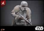 Hot Toys MMS768 Star Wars Solo Range Trooper Exclusive, West Campus 1 76863 Herxheim (DE), Heo GmbH, Nieuw, Ophalen of Verzenden