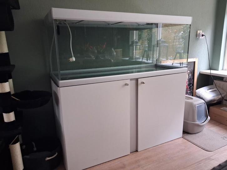 Mooi en netjes aquarium., Dieren en Toebehoren, Vissen | Aquaria en Toebehoren, Gebruikt, Leeg aquarium, Ophalen