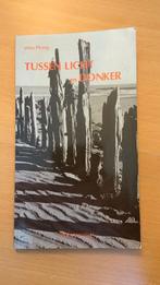 Tussen licht en donker - Wim Plomp, Ophalen of Verzenden, Schilder- en Tekenkunst