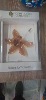 2x royal orchid collection, Ophalen of Verzenden, Nieuw, Overige materialen