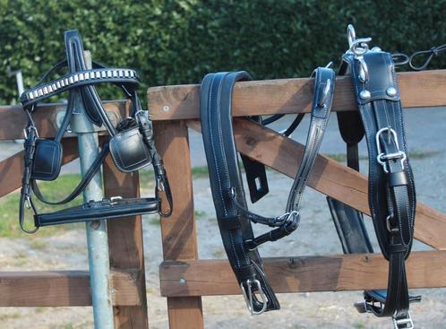 Te koop shetlander mentuig zwart blauw doorstikt nieuw, Dieren en Toebehoren, Paarden en Pony's | Hoofdstellen en Tuigage, Nieuw