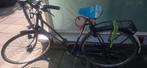 fiets, Gebruikt, Versnellingen, 56 cm of meer, Ophalen