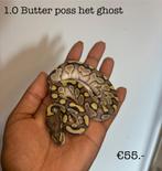 1.0 Butter pos het ghost NK25, Slang