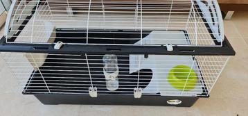 Ruime konijnenkooi beschikbaar voor biedingen