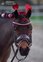 Monère Equestrian frontriem, Ophalen of Verzenden, Zo goed als nieuw, Dressuur
