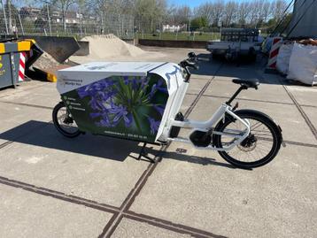 Urban Arrow GARGO wit XL 50wh BTW aftrekbaar ! beschikbaar voor biedingen