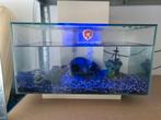 Design aquarium, Dieren en Toebehoren, Vissen | Aquaria en Toebehoren, Ophalen, Zo goed als nieuw, Leeg aquarium