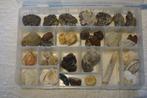 Fossielen vakjesdoos divers, Ophalen of Verzenden, Fossiel