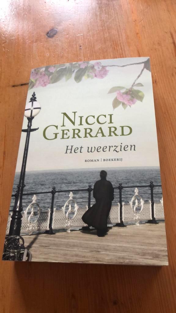 Het weerzien - Nicci Gerrard, Boeken, Romans, Nieuw, Nederland, Ophalen of Verzenden