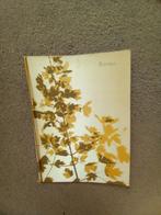 Oude menukaart van KLM 1967, Verzamelen, Ophalen of Verzenden, Gebruikt, Overige typen